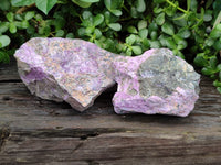 Natural Stichtite Cobbed Specimens x 2 From Barberton, South Africa