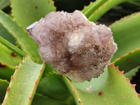 Natural Amethyst Spirit Quartz Clusters x 6 From Boekenhouthoek, South Africa