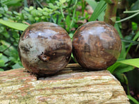 Polished Petrified Wood Spheres x 3 From Gokwe, Zimbabwe