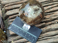 Polished Petrified Wood Spheres x 3 From Gokwe, Zimbabwe