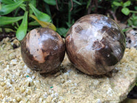 Polished Petrified Wood Spheres x 3 From Gokwe, Zimbabwe