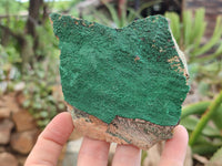 Natural Botryoidal Malachite Specimens x 6 From Congo