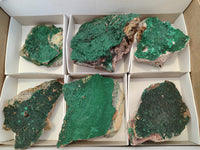 Natural Botryoidal Malachite Specimens x 6 From Congo