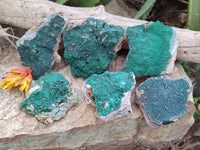 Natural Botryoidal Malachite Specimens x 6 From Congo