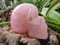 Hand Made Rose Quartz Skull Carving x 1 From Madagascar