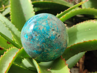 Polished Shattuckite Spheres x 2 From Congo