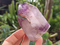 Polished Window Amethyst Quartz Crystals x 6 From Akansobe, Madagascar