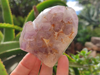 Polished Window Amethyst Quartz Crystals x 6 From Akansobe, Madagascar