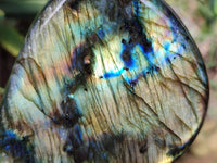 Polished Labradorite Standing Free Forms x 2 From Tulear, Madagascar