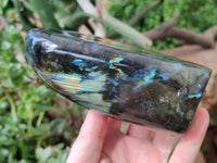 Polished Labradorite Standing Free Forms x 2 From Tulear, Madagascar