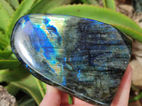 Polished Labradorite Standing Free Forms x 2 From Tulear, Madagascar