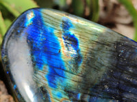 Polished Labradorite Standing Free Forms x 2 From Tulear, Madagascar