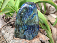 Polished Labradorite Standing Free Forms x 2 From Tulear, Madagascar