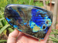 Polished Labradorite Standing Free Forms x 2 From Tulear, Madagascar