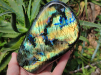 Polished Labradorite Standing Free Forms x 2 From Tulear, Madagascar