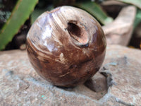 Polished Petrified Wood Spheres x 3 From Gokwe, Zimbabwe