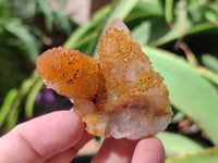 Natural Golden Solar Spirit Quartz Clusters x 12 From Boekenhouthoek, South Africa