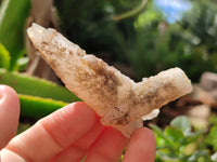 Natural Drusy Quartz Coated Calcite Pseudomorph Specimens x 20 From Lesotho