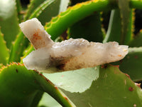 Natural Drusy Quartz Coated Calcite Pseudomorph Specimens x 20 From Lesotho