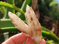 Natural Drusy Quartz Coated Calcite Pseudomorph Specimens x 20 From Lesotho