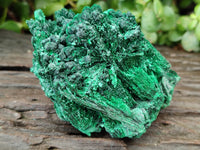 Natural Silky Malachite Specimens x 6 From Kasompe, Congo