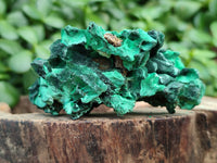 Natural Silky Malachite Specimens x 6 From Kasompe, Congo