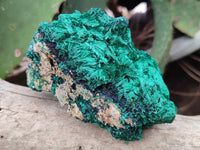 Natural Silky Malachite Specimens x 6 From Kasompe, Congo