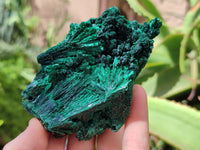 Natural Silky Malachite Specimens x 6 From Kasompe, Congo