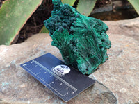 Natural Silky Malachite Specimens x 6 From Kasompe, Congo