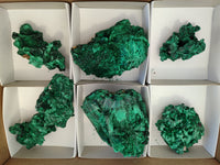 Natural Silky Malachite Specimens x 6 From Kasompe, Congo