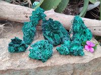 Natural Silky Malachite Specimens x 6 From Kasompe, Congo