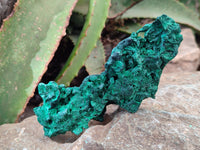 Natural Silky Malachite Specimens x 6 From Kasompe, Congo