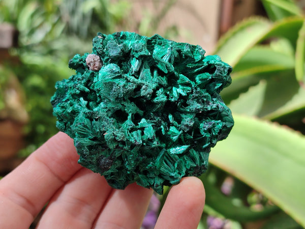 Natural Silky Malachite Specimens x 6 From Kasompe, Congo