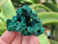 Natural Silky Malachite Specimens x 6 From Kasompe, Congo