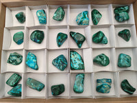 Polished Malacolla Free Forms x 26 From Congo