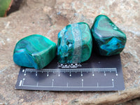 Polished Malacolla Free Forms x 26 From Congo