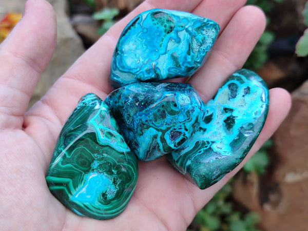 Polished Malacolla Free Forms x 26 From Congo