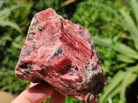 Natural Rhodonite Cobbed Specimens x 5 From Zimbabwe