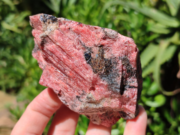 Natural Rhodonite Cobbed Specimens x 5 From Zimbabwe