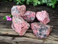 Natural Rhodonite Cobbed Specimens x 5 From Zimbabwe