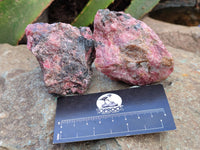 Natural Rhodonite Cobbed Specimens x 5 From Zimbabwe