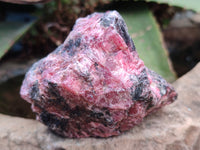 Natural Rhodonite Cobbed Specimens x 5 From Zimbabwe