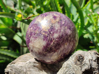 Polished Lepidolite with Pink Rubellite Spheres x 2 From Madagascar