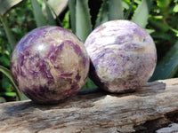 Polished Lepidolite with Pink Rubellite Spheres x 2 From Madagascar