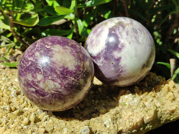 Polished Lepidolite with Pink Rubellite Spheres x 2 From Madagascar