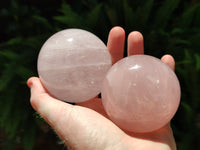 Polished Rose Quartz Spheres x 3 From Ambatondrazaka, Madagascar