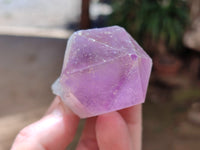 Natural Jacaranda Amethyst Single Quartz Crystals x 24 from Mumbwa, Zambia