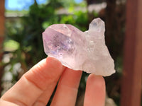 Natural Jacaranda Amethyst Single Quartz Crystals x 24 from Mumbwa, Zambia