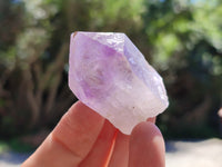 Natural Jacaranda Amethyst Single Quartz Crystals x 24 from Mumbwa, Zambia