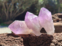 Natural Jacaranda Amethyst Single Quartz Crystals x 24 from Mumbwa, Zambia